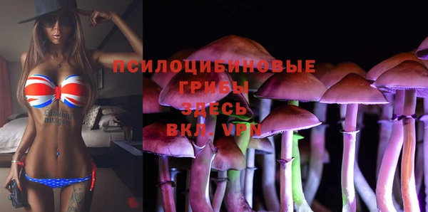 круглые Алексин