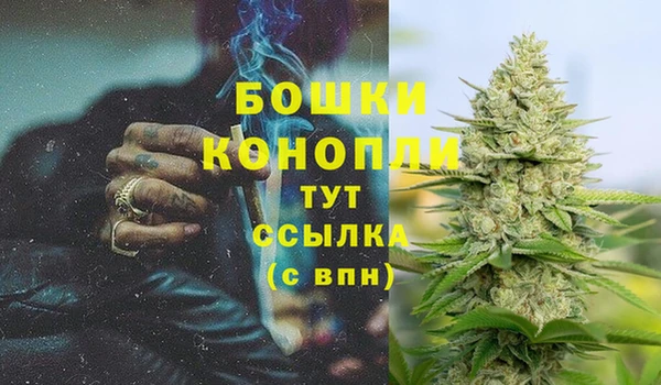мдпв Лагань