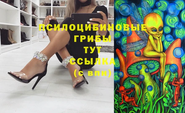 МДПВ Алексеевка